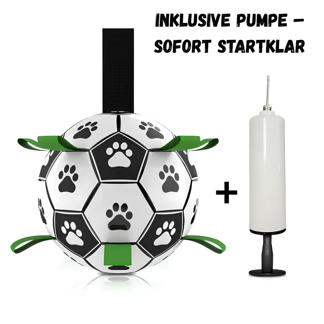 Hunde-Fußball