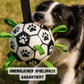 Hunde-Fußball