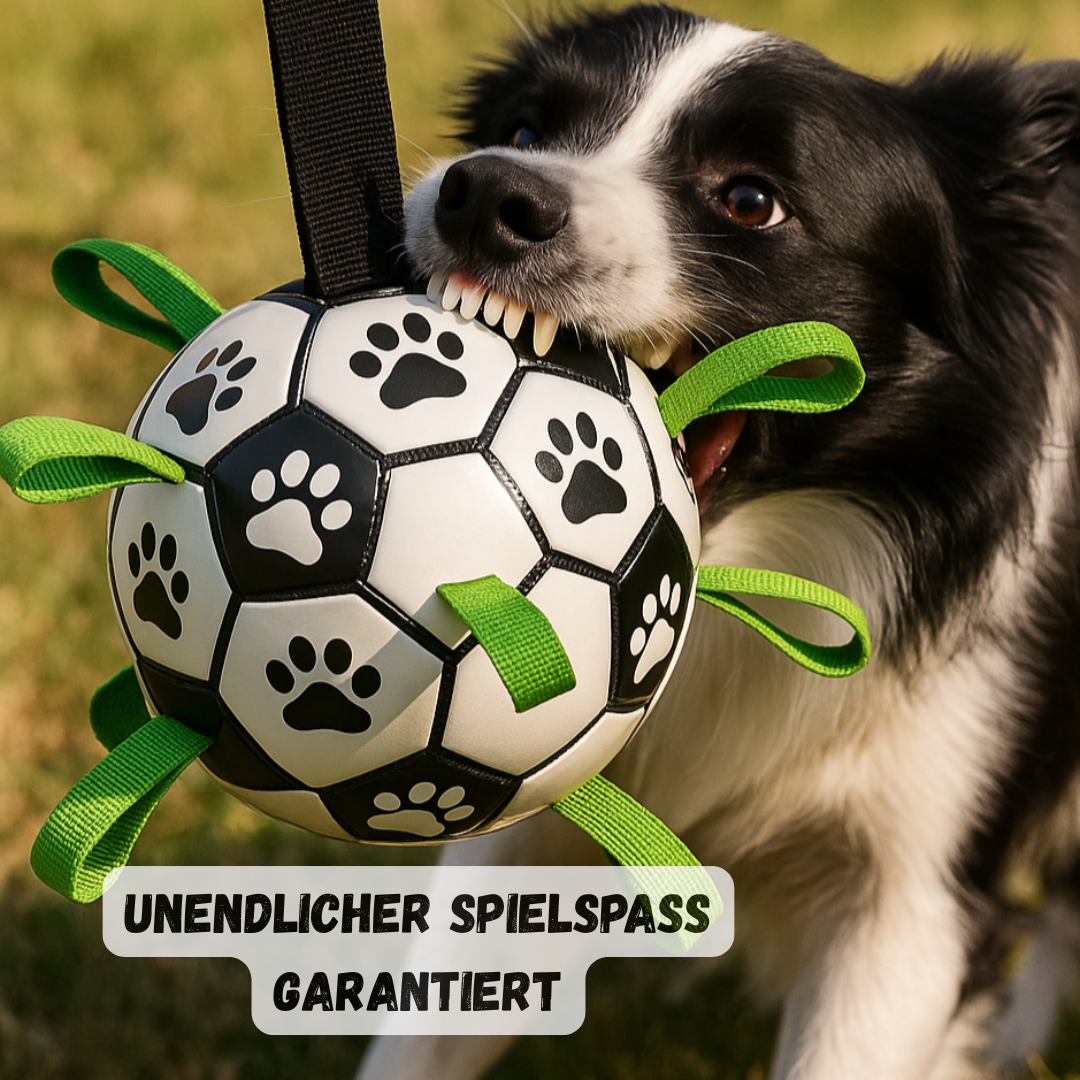 Hunde-Fußball