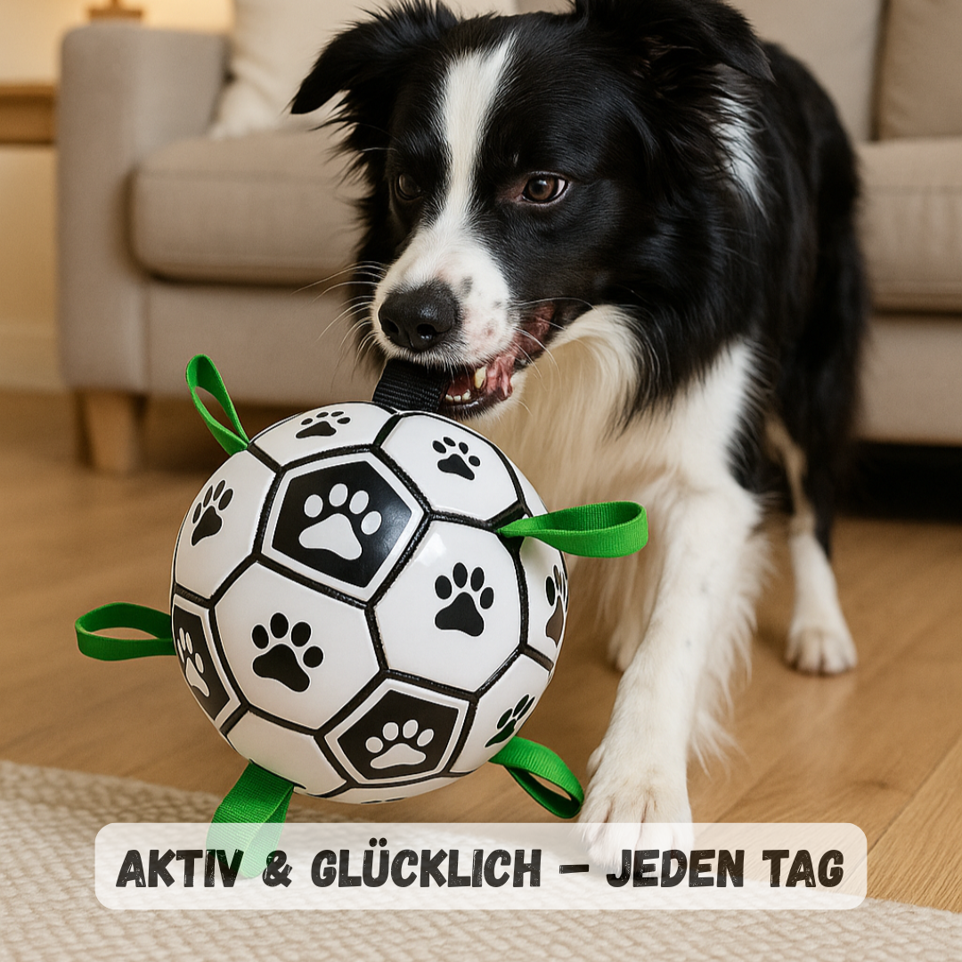 Hunde-Fußball