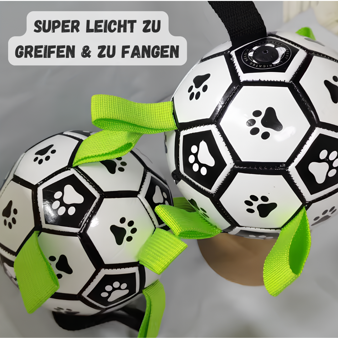 Hunde-Fußball