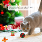 Premium Adventskalender für Katzen