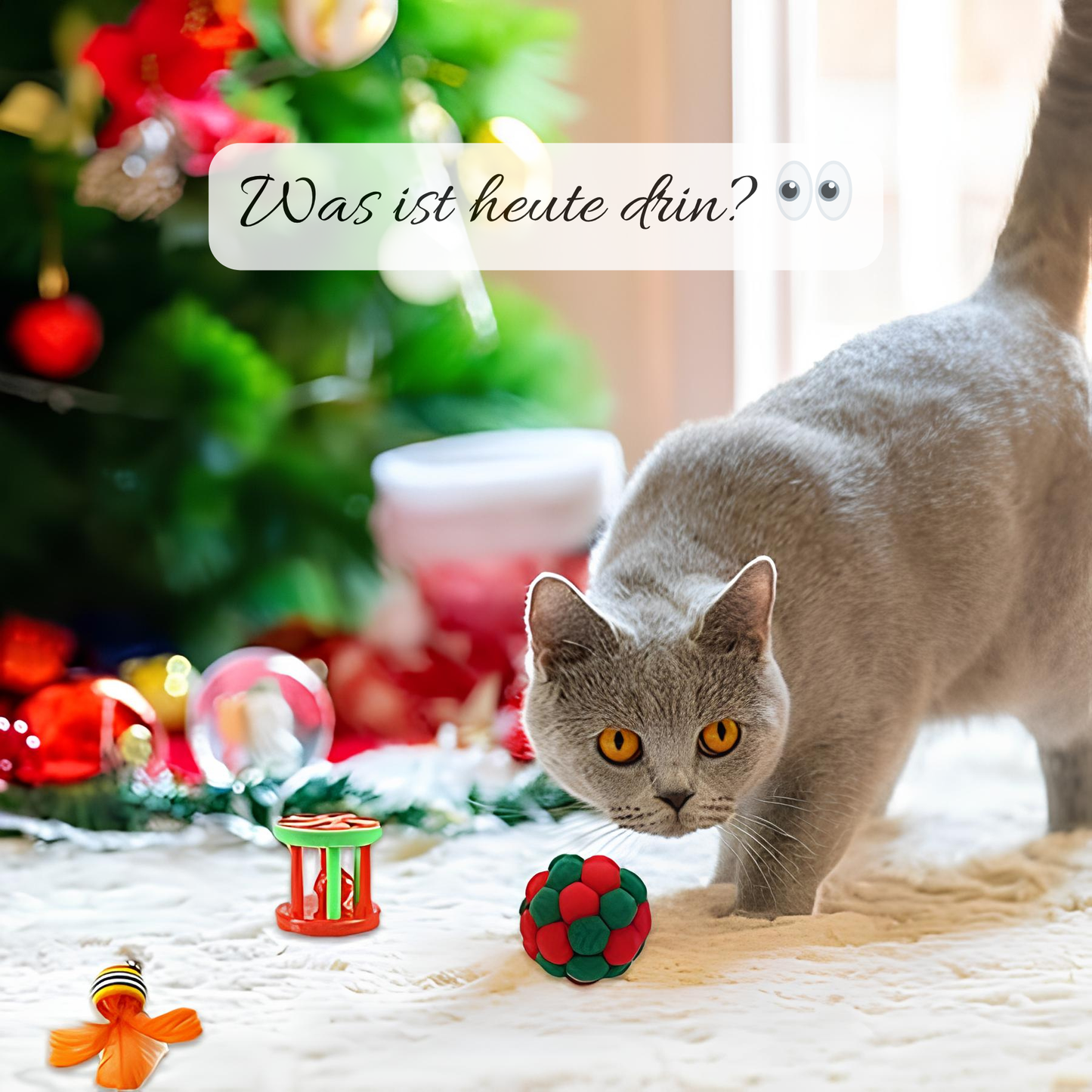 Premium Adventskalender für Katzen