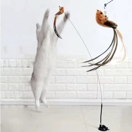 Katzenangel