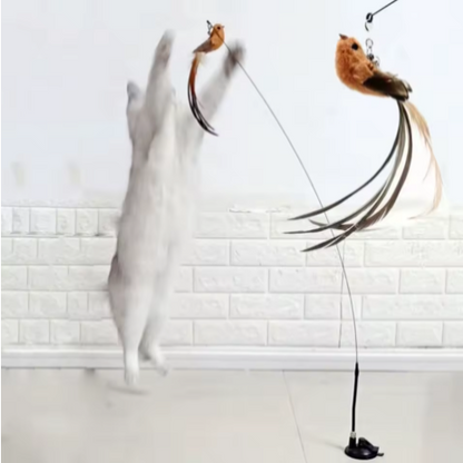 Katzenangel