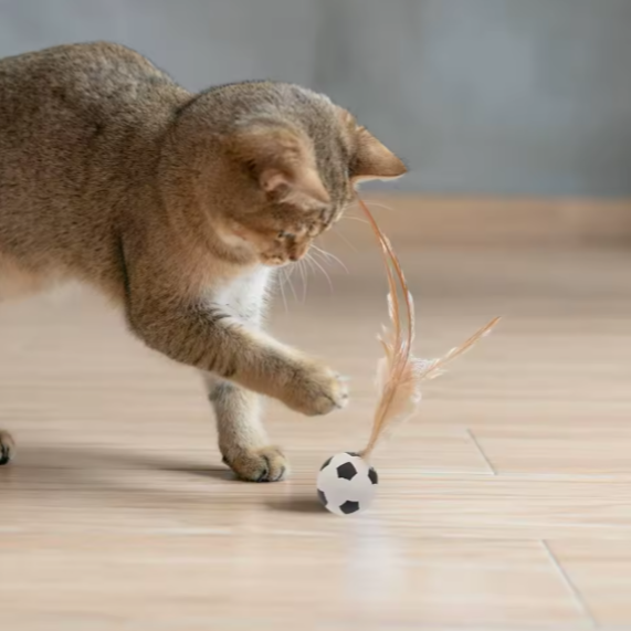 Hüpfball