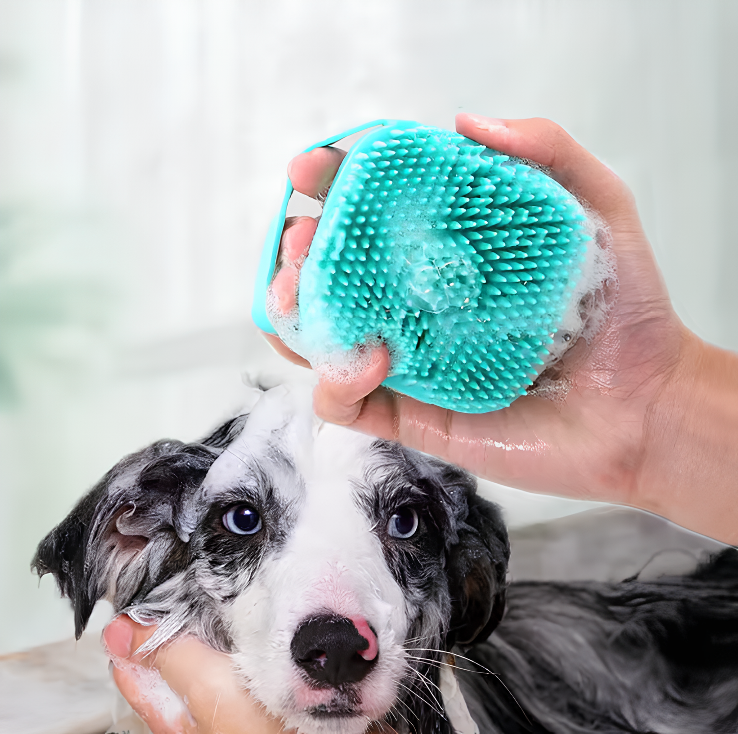 Hundebadebürste mit Seifenspender für Hunde – 2-in-1 PfotenSchaum