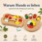 Snack Puzzle Starterset für Hunde – 2 Denkspiele für mehr Beschäftigung