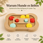 Snack Puzzle Knochen für Hunde – Denkspiel gegen Langeweile
