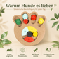 Snack Puzzle Pfote für Hunde – Denkspiel gegen Langeweile